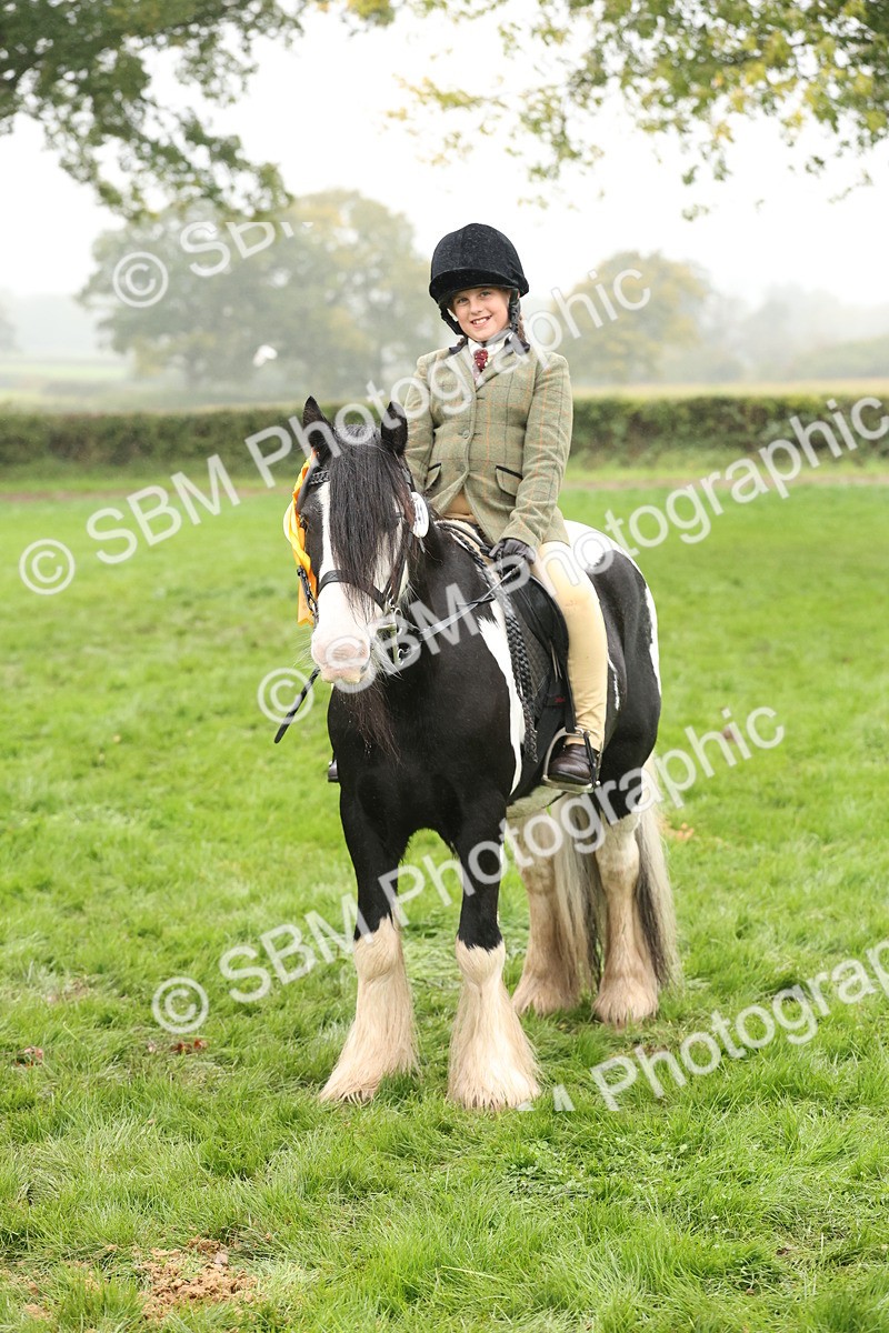 SBM_72868 - S70 - Traditional Cob Ridden