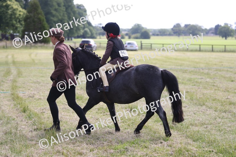 20260614-0600 - Class 20 - Beginners Working Hunter Pony