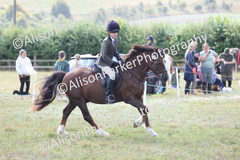 20250831-1254 - Class 15 - Ridden Veteran