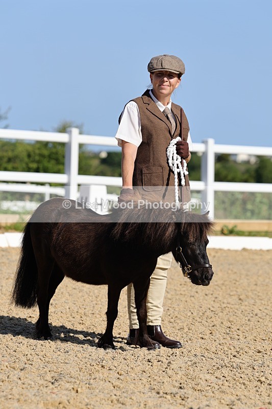 1X9A0700 - Class 3: Youngstock 1, 2, 3 year old not to exceed 153cm