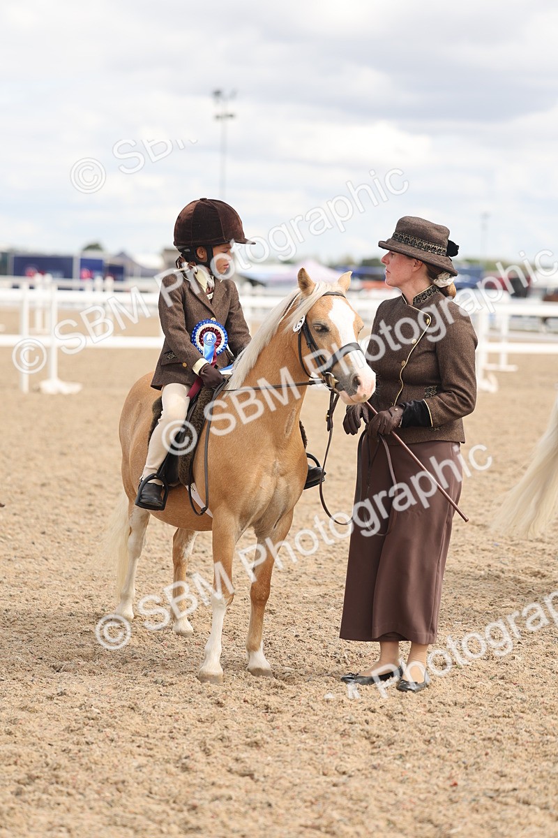 SBM_15842 - Class 309 - Lead Rein Pony