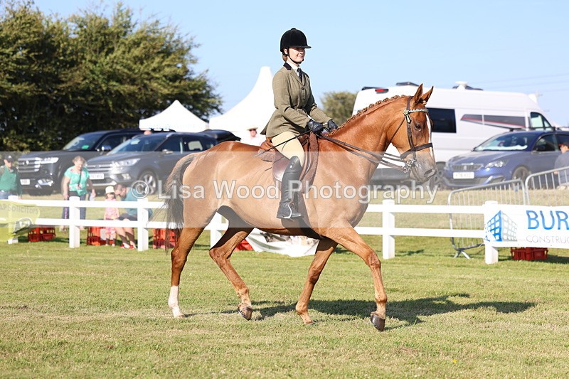 3E7A5238 - Class 2: Rising Star Large Hack/Riding Horse