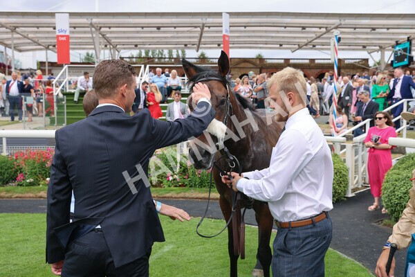 yr23072022r4-46 - Race 4 3.50pm Sky Bet In Running Racing Nursery Handicap
