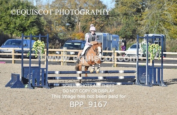 BPP_9167 - CLASS 2 50CM