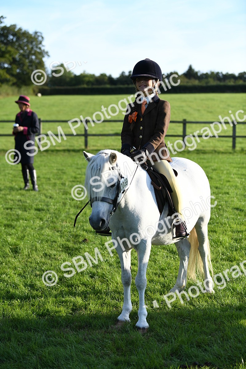 SBM_54132 - S23 - 1st Ridden Mountain & Moorland Pony