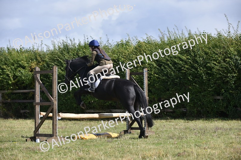 20250831-3979 - Class 12 - Working Hunter Pony 14.2hh and Under