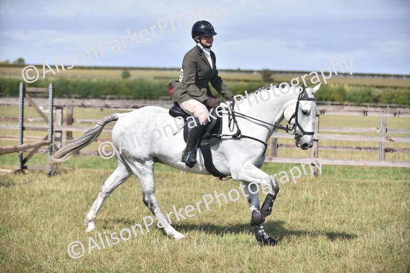 20260906-2716 - Class 13 - Working Hunter Horse or Pony