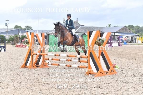 BPP_2918 - CLASS 11 SUN Club/ Unaffiliated 80cms Open
