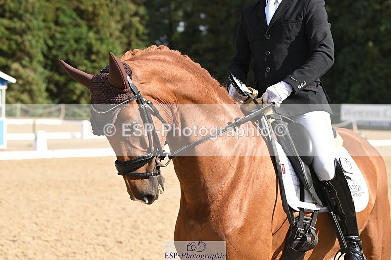 250808A-170420-02234 - Preliminary GOLD Presentations