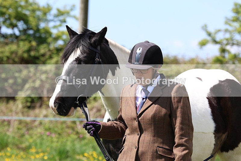 3E7A0325 - Class 19: Best Coloured in Hand