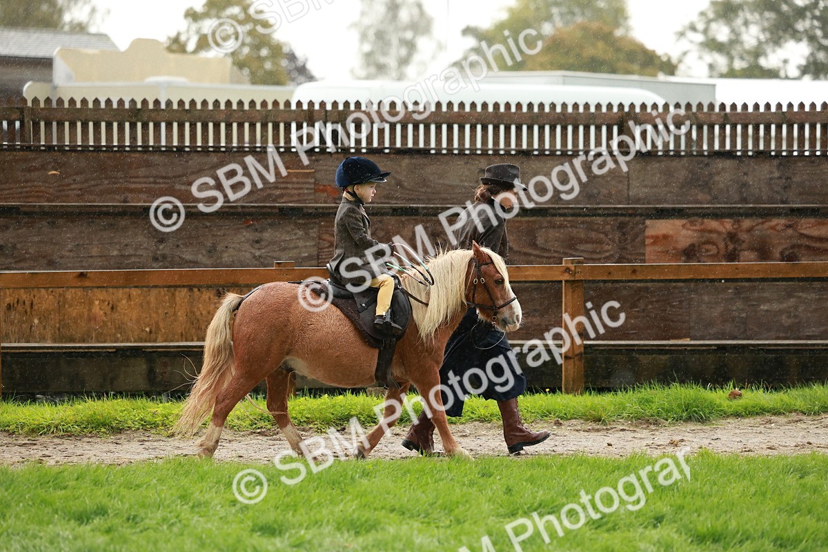 SBM_33676 - S9 - Lead Rein Equitation