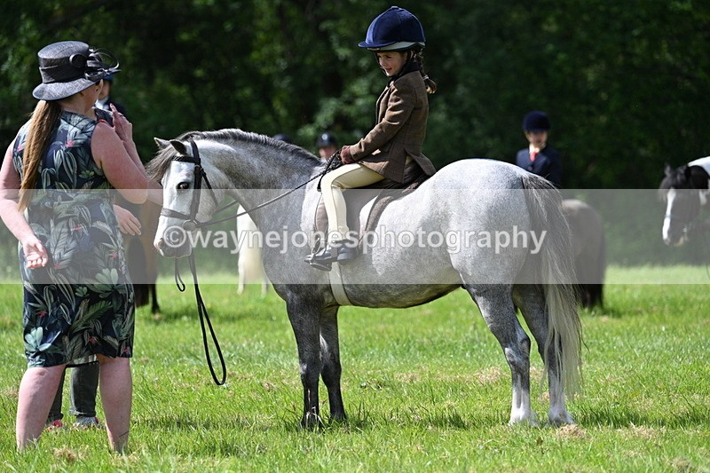 WJ7_1496 - Class 11 Condition & Turnout