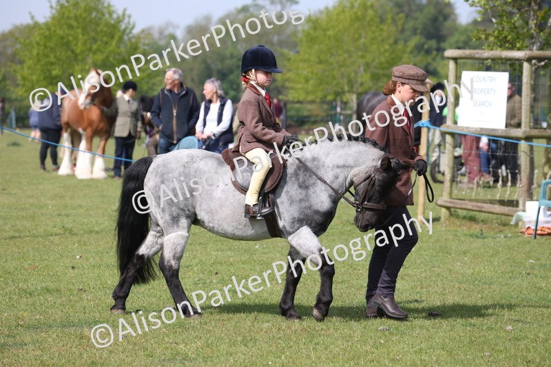 20260426-0579 - Class 31 - Leading Rein