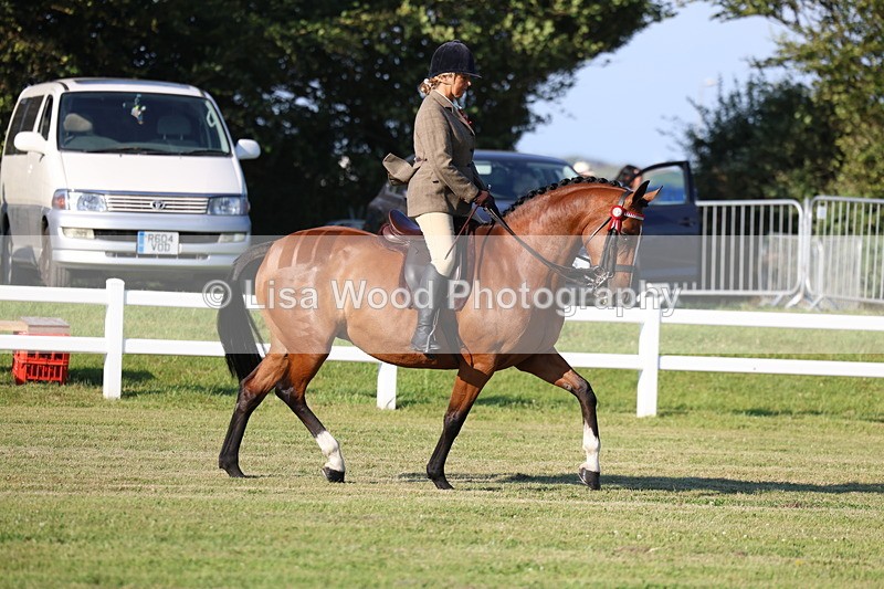 3E7A4918 - Class 1: Rising Star Small Hack/Riding Horses