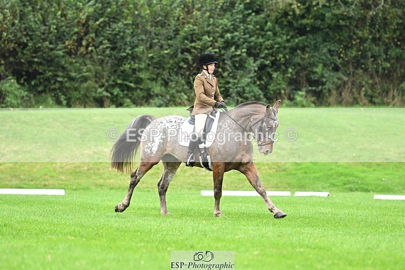 241024-105256-03075 - 501-Captain.Holly.Day-MUSTANG