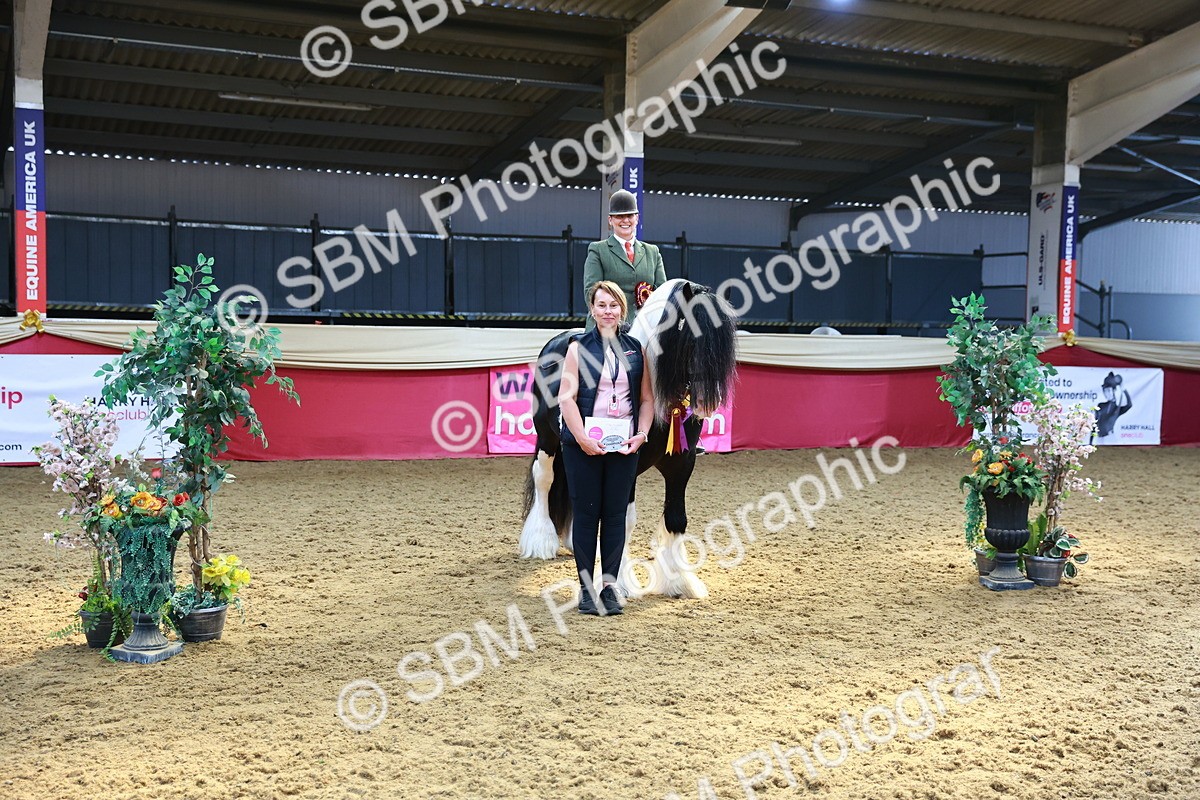 SBM_12759 - HOYS Veteran Qualifier - Ridden Champ
