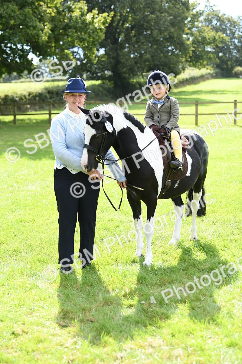 SBM_41188 - S19 - Lead Rein Show & Show Hunter Pony