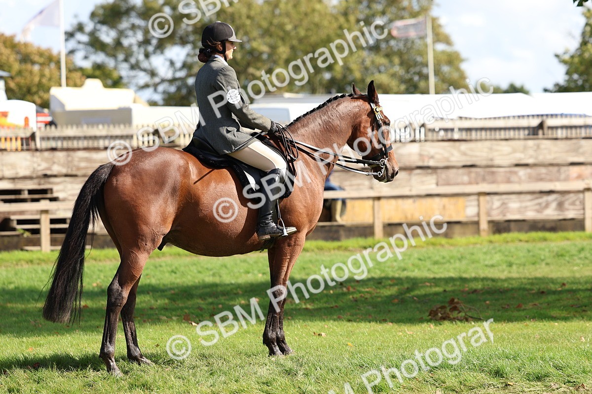 SBM_45304 - S27 - Young Veteran Ridden
