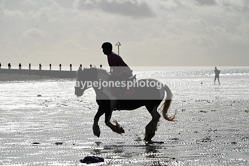 WJ7_3987 - Kellie & Churchill ... do Hayling Island 25-08-24