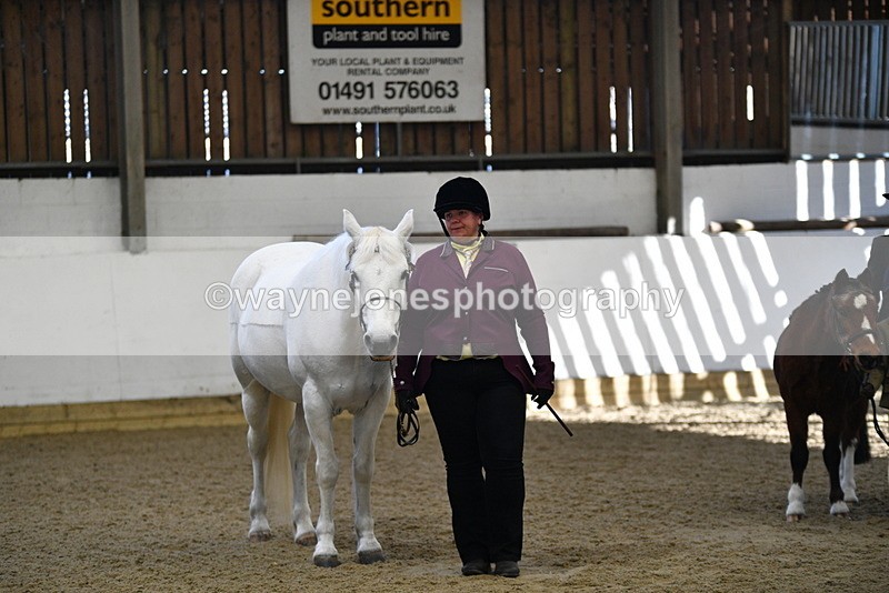 WJ5_3918 - Class 5 In Hand Veterans