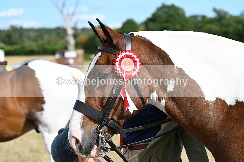 WJ7_7919 - George ...