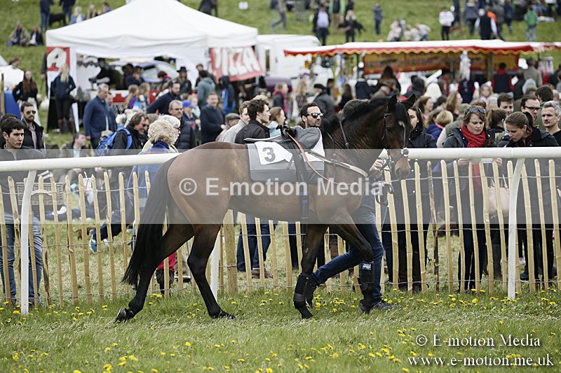 PtP 170417 463 - Old Berks Point-to-Point Lockinge 17/04/17