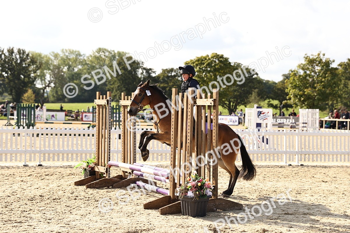 SBM_62000 - J12 - Junior Pony 55cm Championship