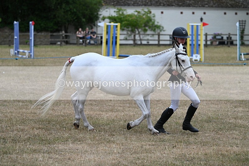 WJ7_8309 - Class 4 Prettiest Mare up to 14.2hh
