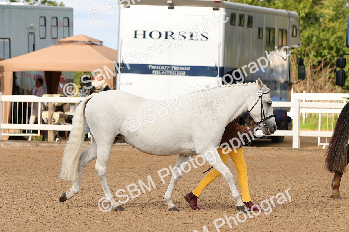 SBM_09179 - Class 204 - Young Handler