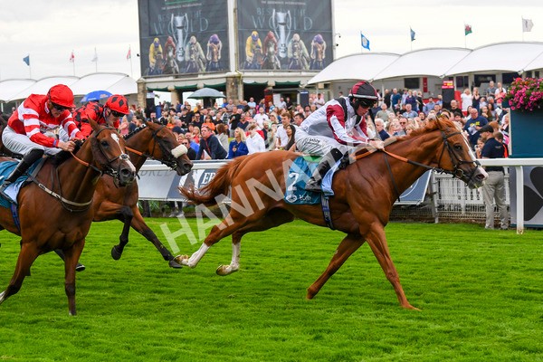 280723-Race 4-Cairn Gorm-0437 - Race 4 6.40pm Tomahawk Restaurants Handicap