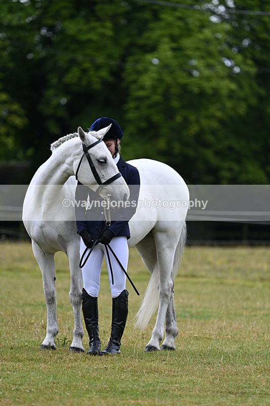 WJ7_6346 - Class 4a Prettiest Mare over 14hh