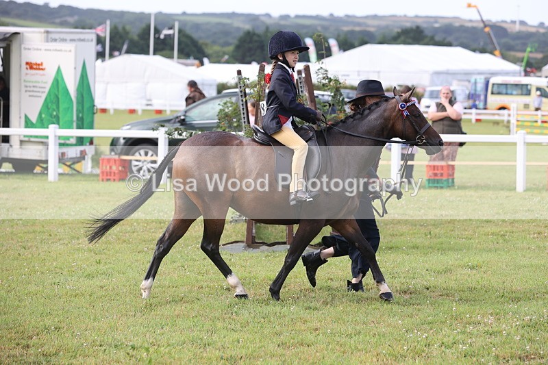 JPP_0403 - Class 14: Cornish Combination Leading Rein