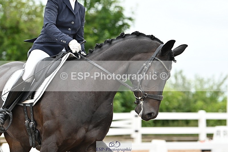 240623A-143914-19065 - Cls 51 BD Elementary 53