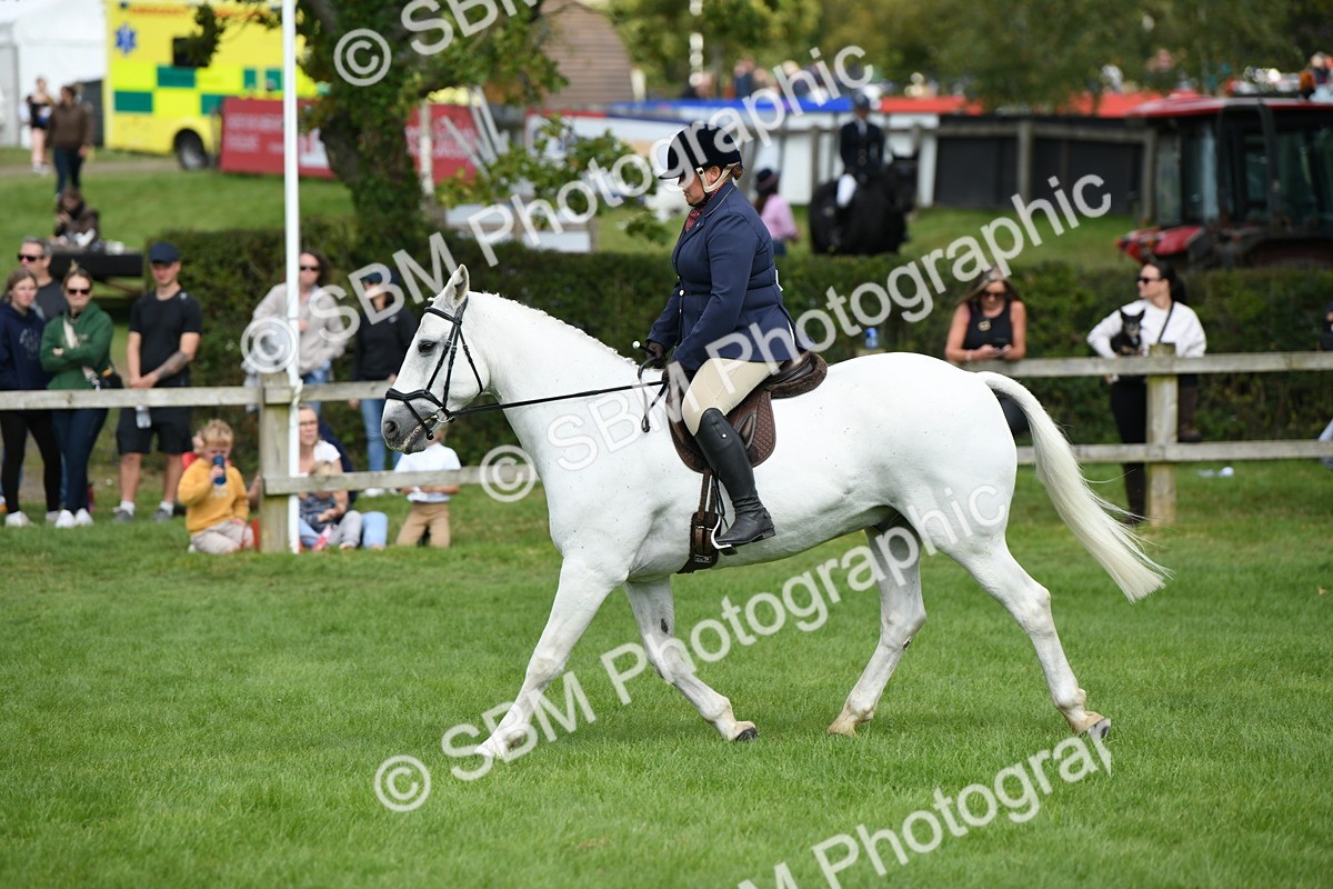 SBM_46825 - S12 - Family Horse & Pony