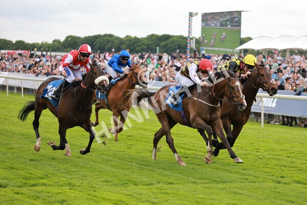 yr21052022r1-27 - Race 1: 1:40pm William Hill Play Responsibly Stakes