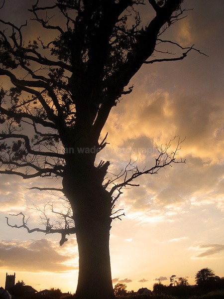 Stanton Drew Sunset _S007 - Somerset landscape Photography