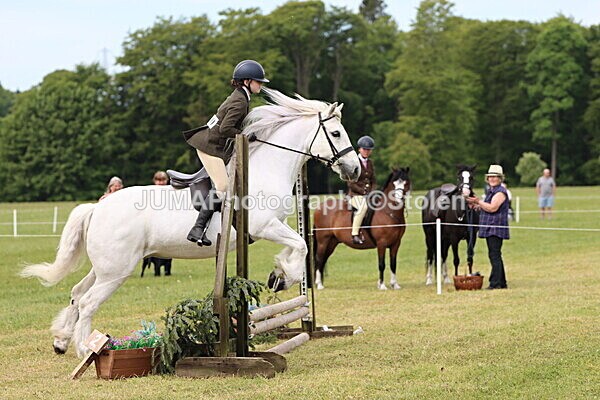 IMG_2496 - Working Hunter