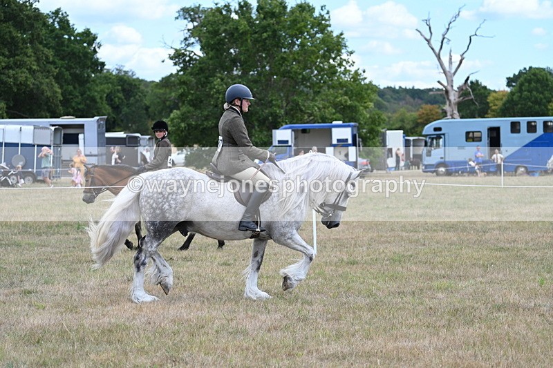 WJ7_4788 - Class 12 Ridden Cob