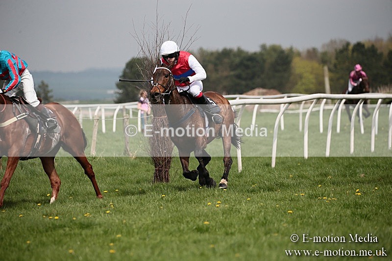 PtP 210418 15 - South & West Wilts Point-to-Point Larkhill 21/04/18