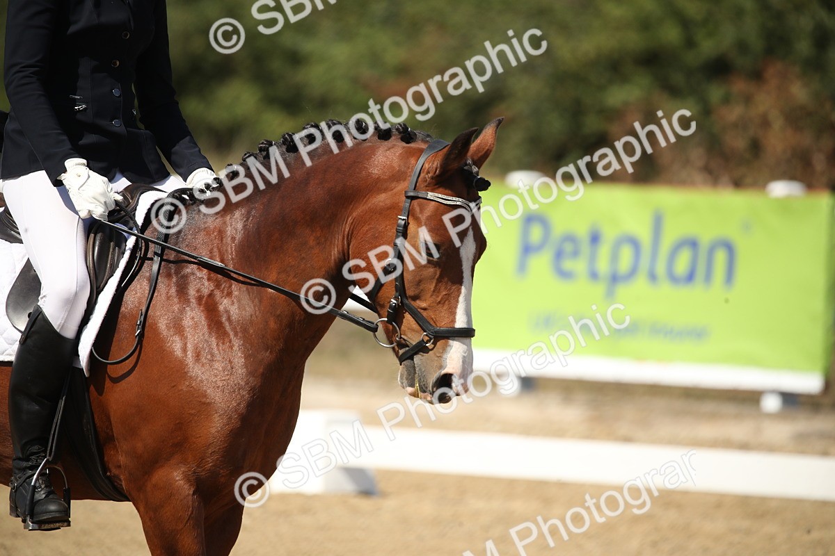 SBM_005778 - Class 11 - Novice 5 - 13.19-14.22