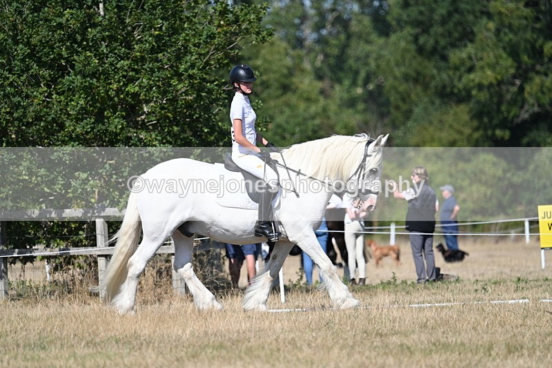 WJ7_9715 - Time 10:32 to 10:55