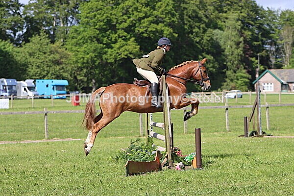 IMG_4891 - Working Hunter