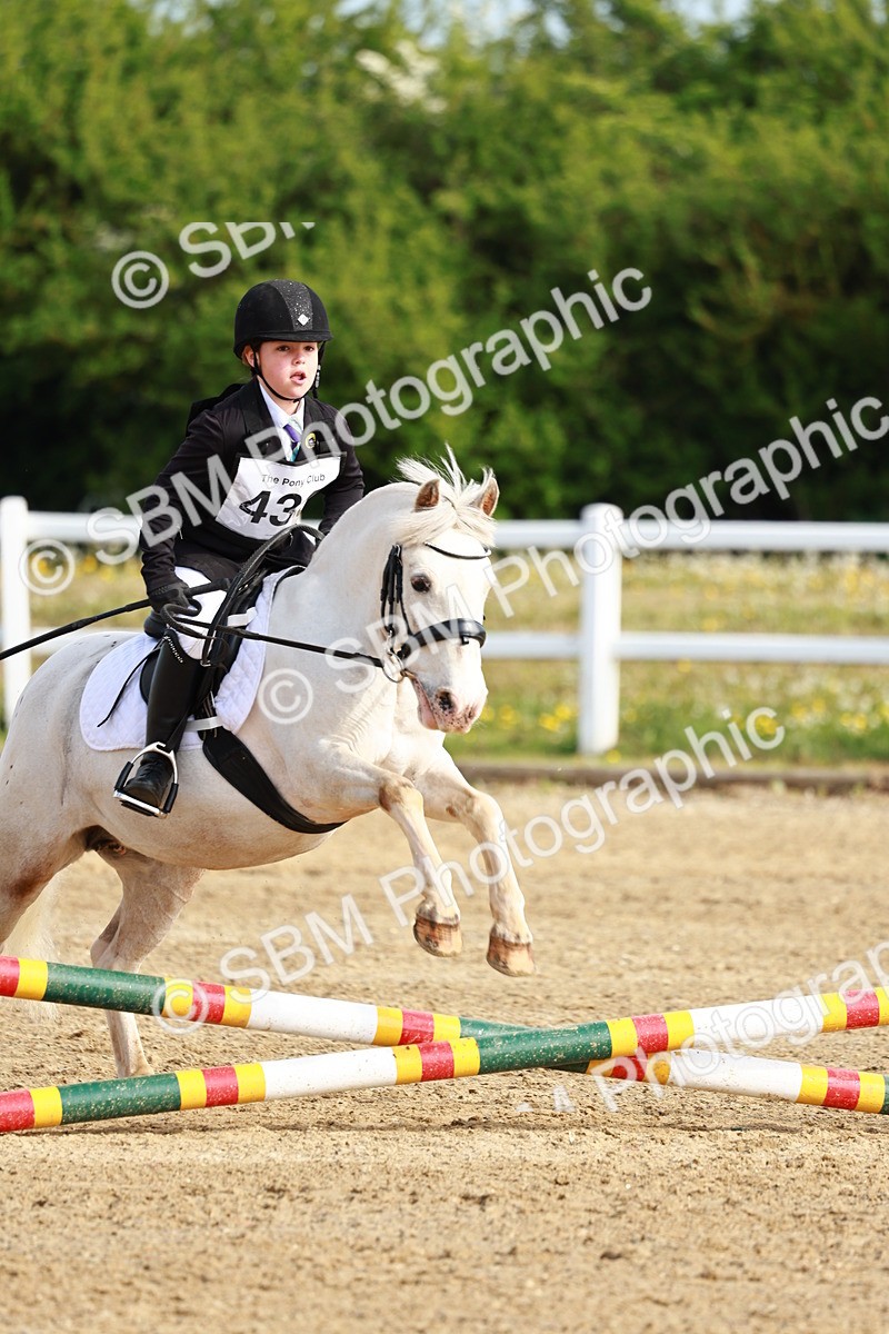 SBM_006411 - Class 1 - 40cm