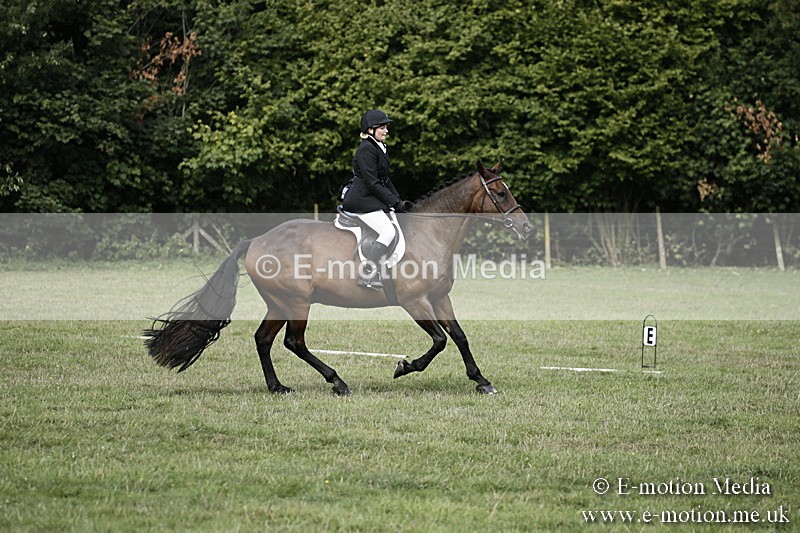 BVR090918 158 - BVRC Dressage and Show Jumping 09/09/18