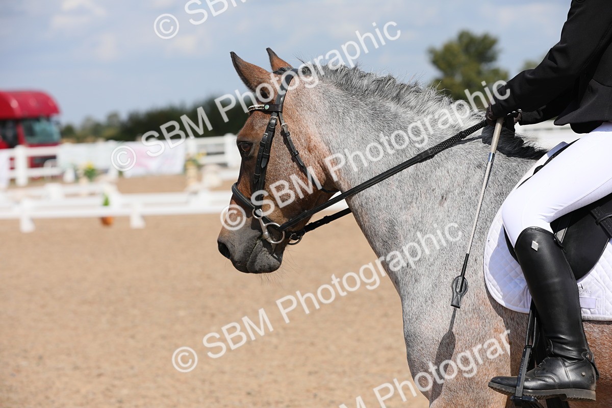 SBM_03989 - Class 31 Prelim 1