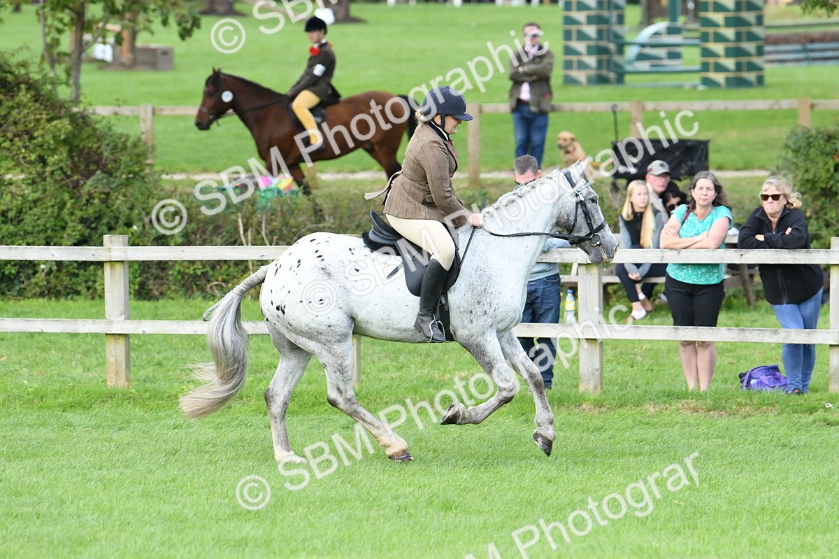 SBM_47185 - S12 - Family Horse & Pony