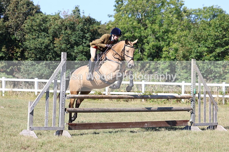 3E7A5786 - Class 5: Working Hunter 90cm