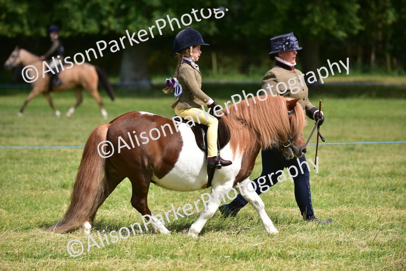 20260614-1142 - Class 11a - Lead Rein Pony (Unplaited)