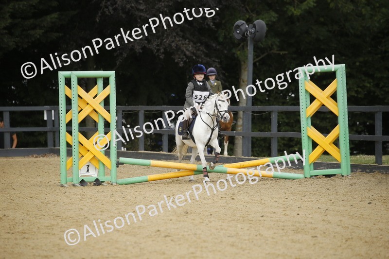 20250622-1462 - 40cm