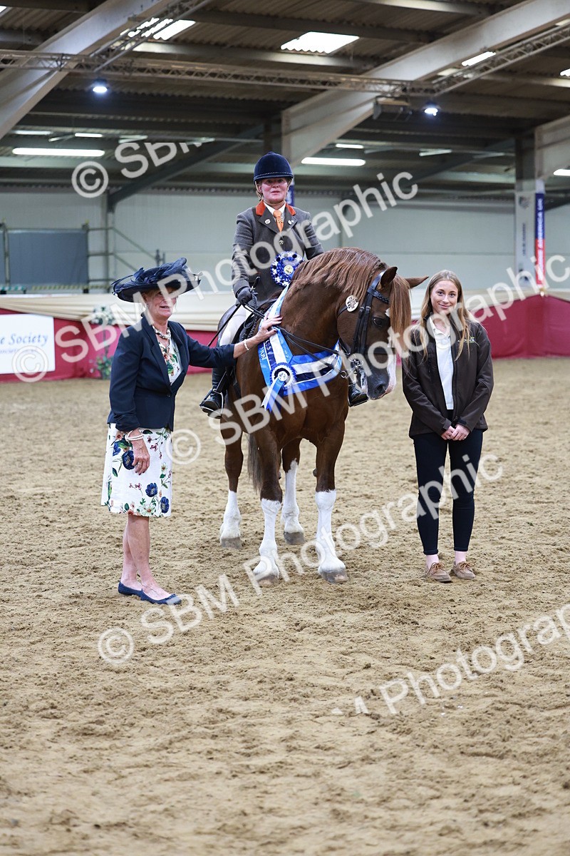 SBM_18982 - M&M Supreme Final champ